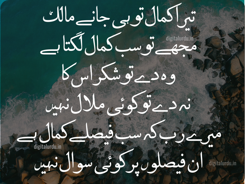 Best Urdu Shayeri