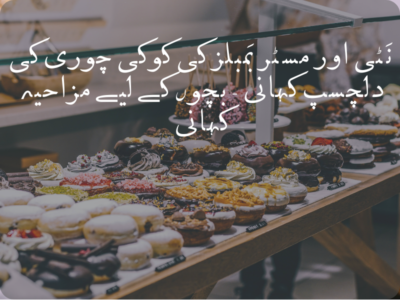 نَٹی اور مسٹر بَمبلز کی کوکی چوری کی دلچسپ کہانی