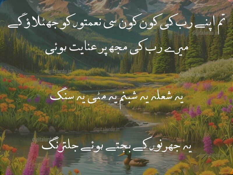 تم اپنے رب کی کون کون سی نعمتوں کو جھٹلاؤ گے