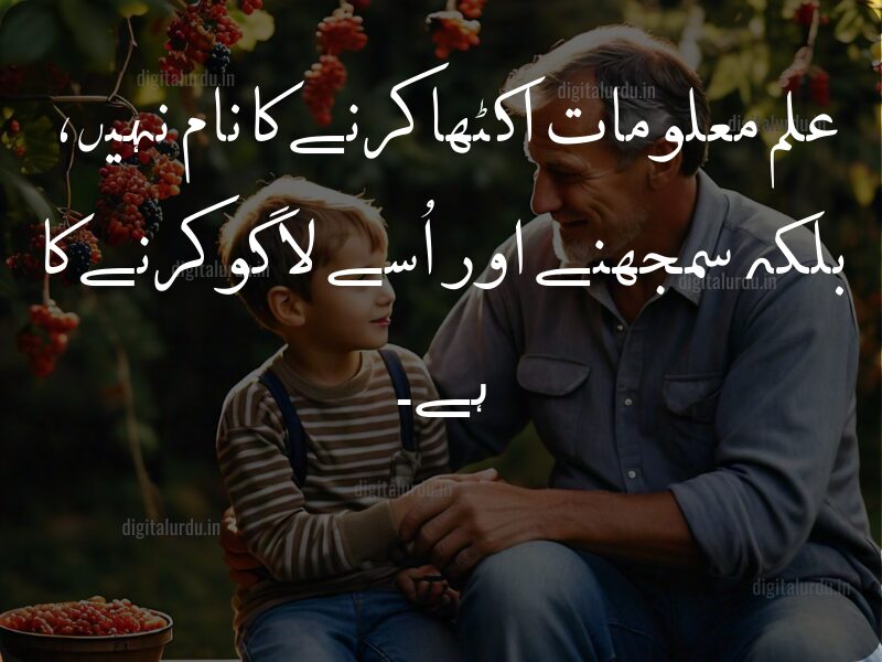 10 Best Inspirational Urdu Quotes