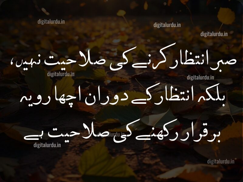 10 Best Inspirational Urdu Quotes