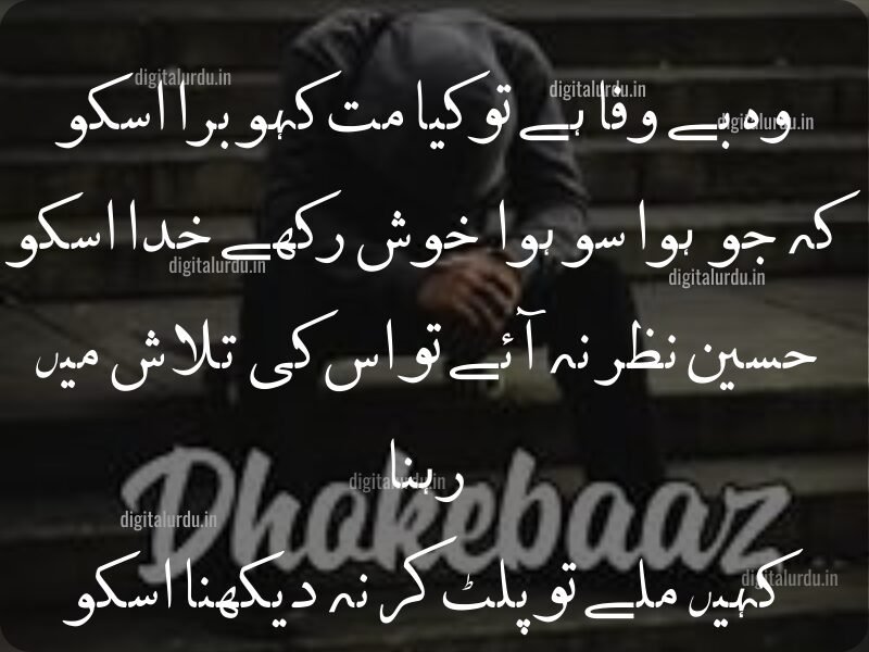 Shayer 15+ Best Collection of Urdu Shayari: Heartfelt Breakup, Sad, and ...