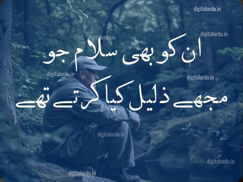 Shayer 15+ Best Collection of Urdu Shayari: Heartfelt Breakup, Sad, and ...