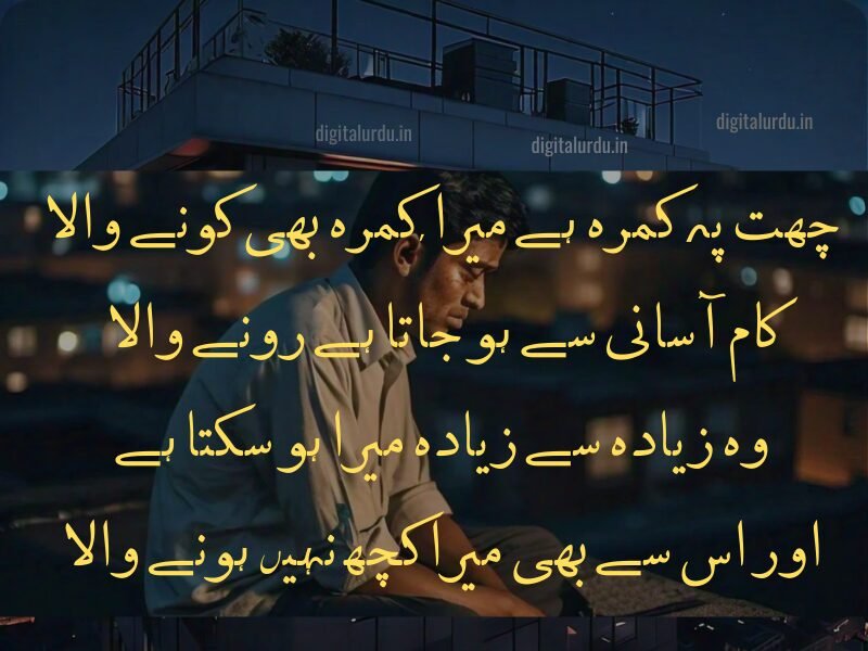 Shayer 15+ Best Collection of Urdu Shayari: Heartfelt Breakup, Sad, and ...