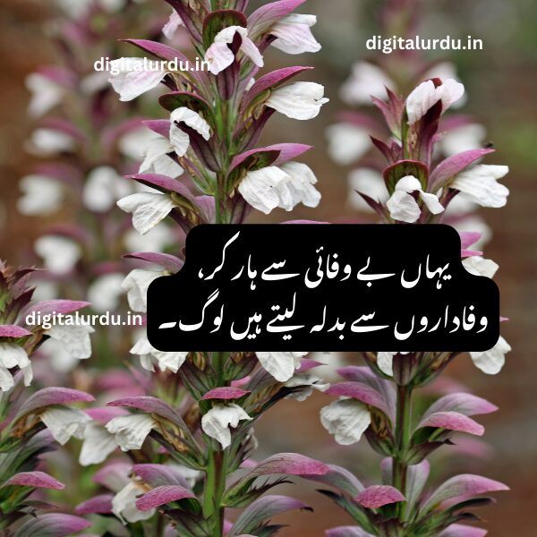 Sad Shayari