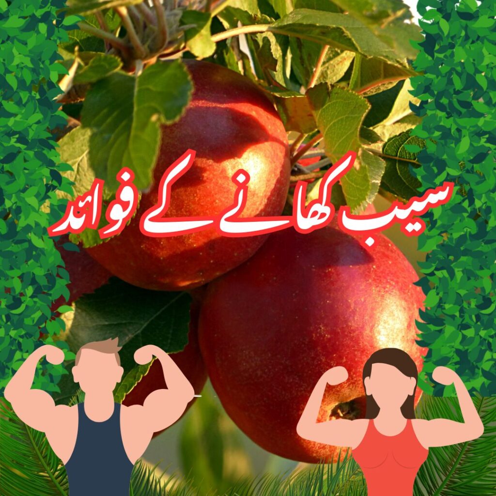 سیب کھانے کے فوائد