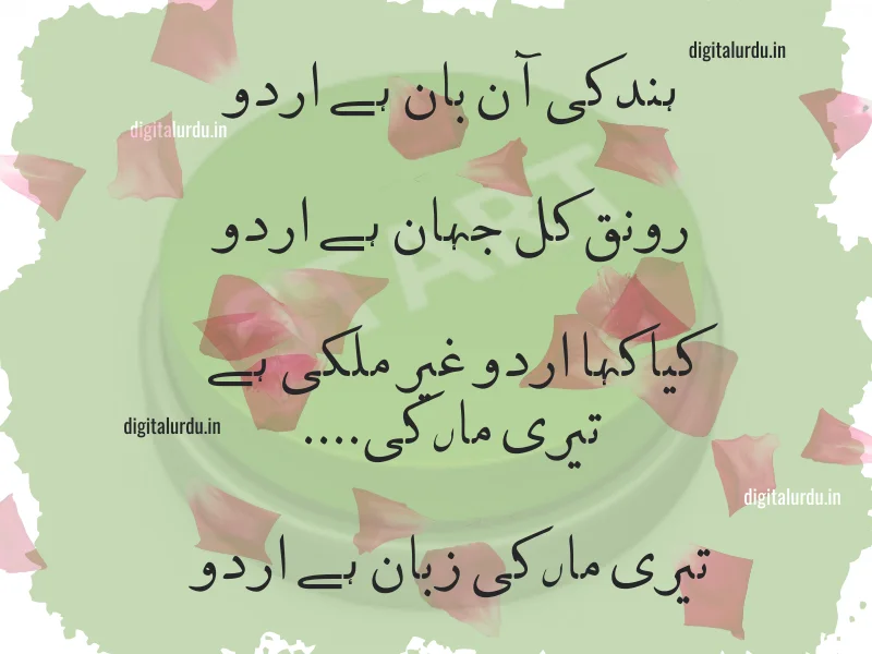 urdu shayeri