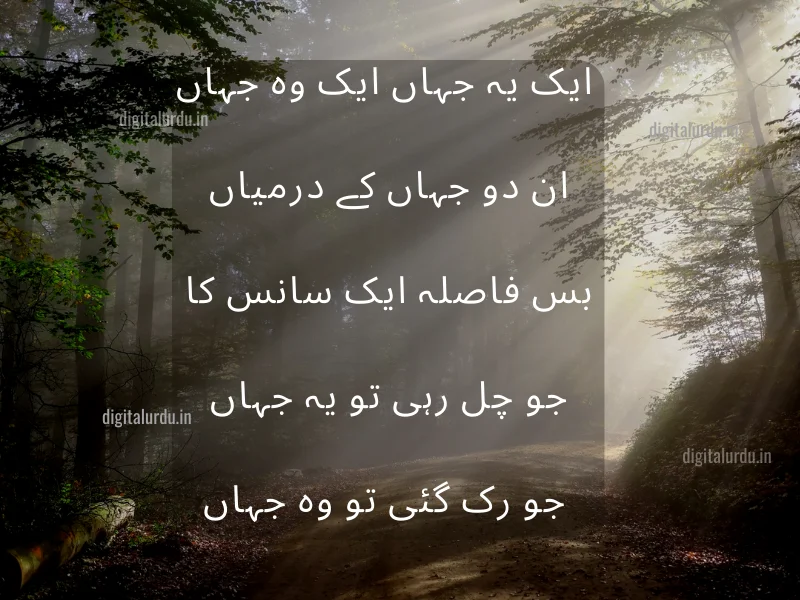 Best Sad Shayeri in Urdu