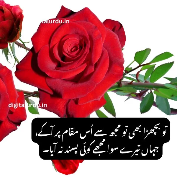 Girlfriend and Boyfriend Best Love Shayari in Urdu
